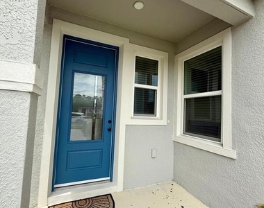 16522 Brook Isle Way - Photo Thumbnail 1