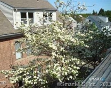 263 Roselle Street - Photo Thumbnail 13