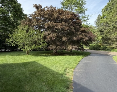 10 Heron Road - Photo Thumbnail 26