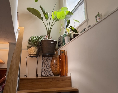 10 Heron Road - Photo Thumbnail 20