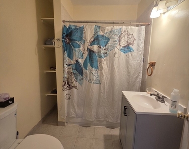 517 Garfield Avenue - Photo Thumbnail 14