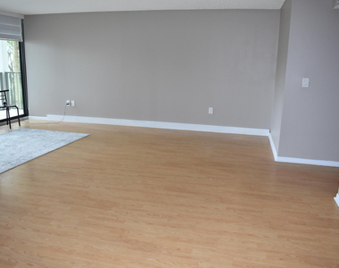 1201 River Reach Drive - Photo Thumbnail 2