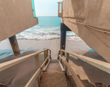 27112 Malibu Cove Colony Drive - Photo Thumbnail 39