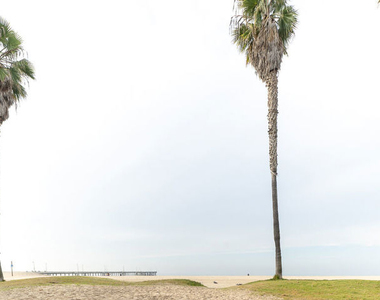 38 29th Avenue - Photo Thumbnail 32