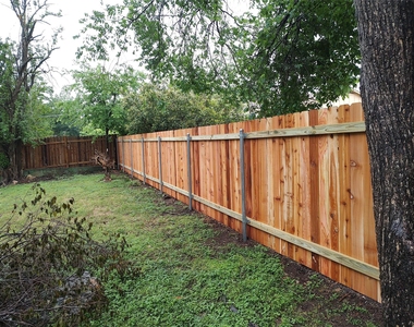 11506 Murcia Dr - Photo Thumbnail 10