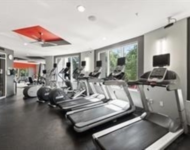 54 Rainey St - Photo Thumbnail 30