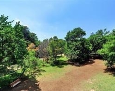 54 Rainey St - Photo Thumbnail 33
