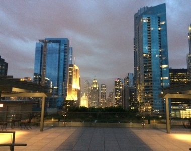 474 N Lake Shore Drive - Photo Thumbnail 12