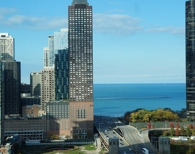 474 N Lake Shore Drive - Photo Thumbnail 15