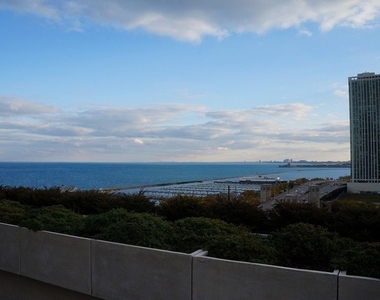 474 N Lake Shore Drive - Photo Thumbnail 14