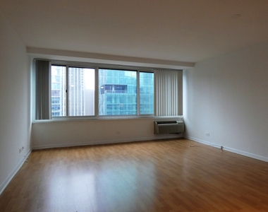 211 E Ohio Street - Photo Thumbnail 7