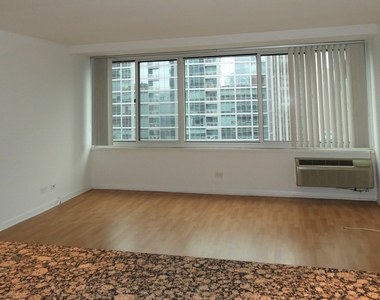 211 E Ohio Street - Photo Thumbnail 8