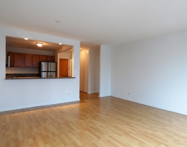 211 E Ohio Street - Photo Thumbnail 6