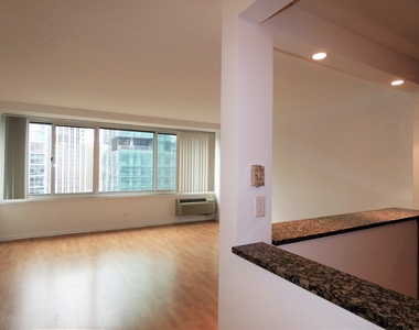 211 E Ohio Street - Photo Thumbnail 9
