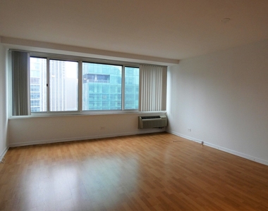 211 E Ohio Street - Photo Thumbnail 5