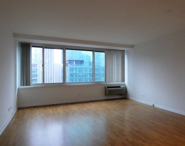 211 E Ohio Street - Photo Thumbnail 4