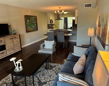 2456 Ecuadorian Way - Photo Thumbnail 4