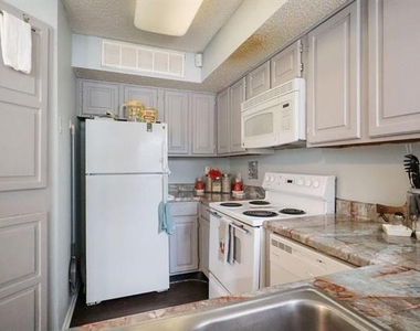 2300 Bamboo Drive - Photo Thumbnail 4