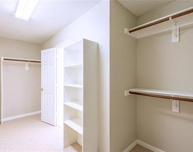 8317 Salado Springs Drive - Photo Thumbnail 26