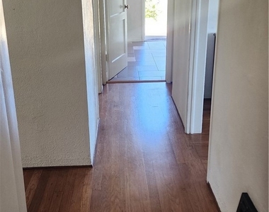 265 Chatham - Photo Thumbnail 24