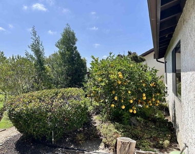 2162 Palmer Drive - Photo Thumbnail 13