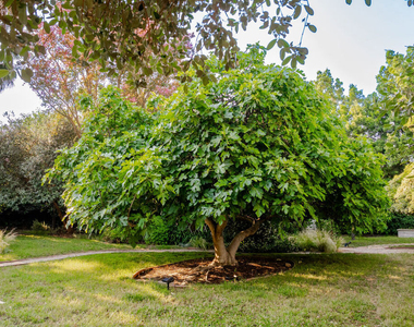 17401 Londelius Street - Photo Thumbnail 15