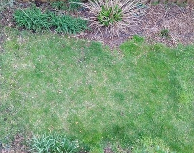 43859 Sandburg Square - Photo Thumbnail 20