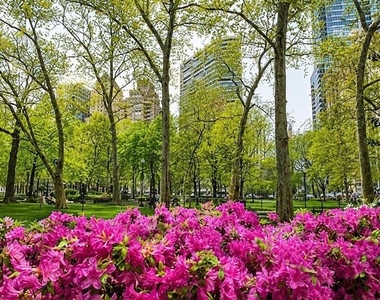 2101 Chestnut Street - Photo Thumbnail 41