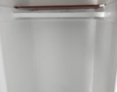 1115 White Street - Photo Thumbnail 12