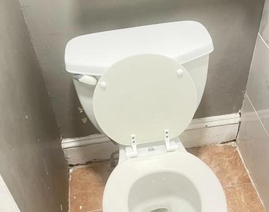 223 Spring Street - Photo Thumbnail 3