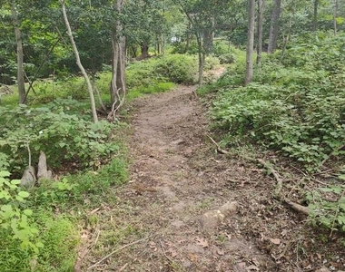 43925 Drum Cliff Road - Photo Thumbnail 14