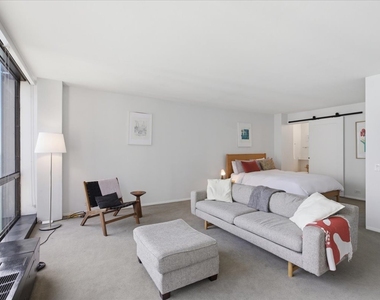 900 N Lake Shore Drive - Photo Thumbnail 7