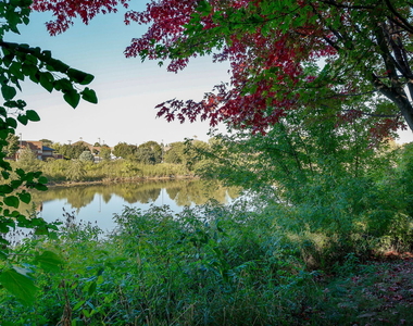 2943 Kentshire Circle - Photo Thumbnail 15