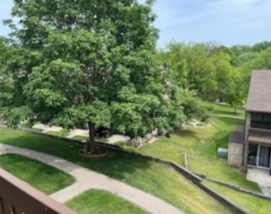 28 Jamaica Colony Street - Photo Thumbnail 8