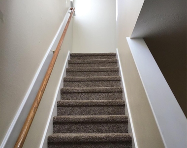 11802 Sunny Stream Drive - Photo Thumbnail 13