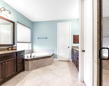 29110 Weldons Forest Court - Photo Thumbnail 29