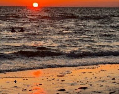 3200 Gulf Shore Boulevard N - Photo Thumbnail 34