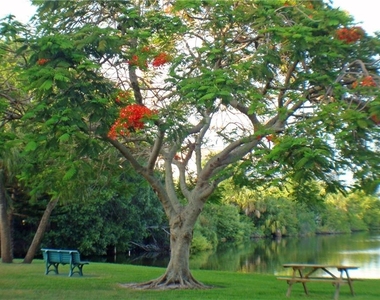 3668 Lake Bayshore Drive - Photo Thumbnail 25
