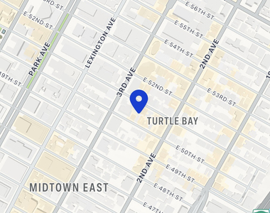 East 51st Street - Photo Thumbnail 6