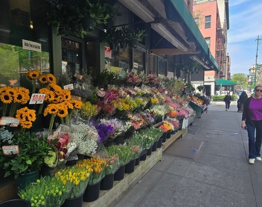 West 87th Street - Photo Thumbnail 3