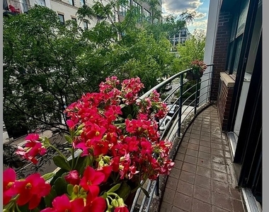 West 19 Street - Photo Thumbnail 5