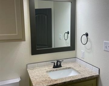 7307 Southern Belle Circle - Photo Thumbnail 12