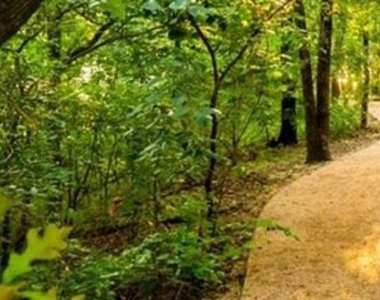 9628 Boulder Point Road - Photo Thumbnail 31