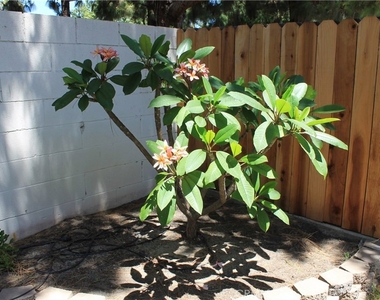 3881 Hendrix Street - Photo Thumbnail 60