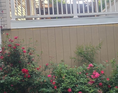 11 De Clark Place - Photo Thumbnail 9