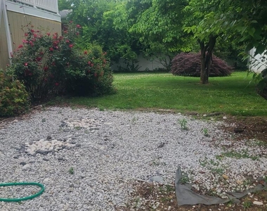 11 De Clark Place - Photo Thumbnail 11