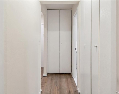 142 Trenchard Street - Photo Thumbnail 6