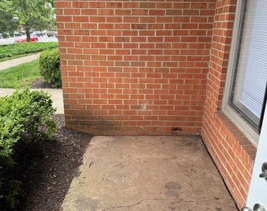8383 Buttress Lane - Photo Thumbnail 12