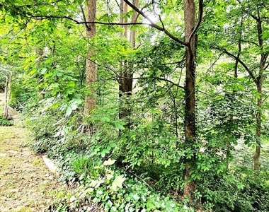 8729 Sheridan Farms Court - Photo Thumbnail 50