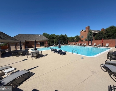 1532 Hampton Hill Circle - Photo Thumbnail 40